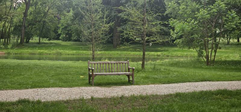 Restauro Parco Romantico Fondazione Magnani Rocca